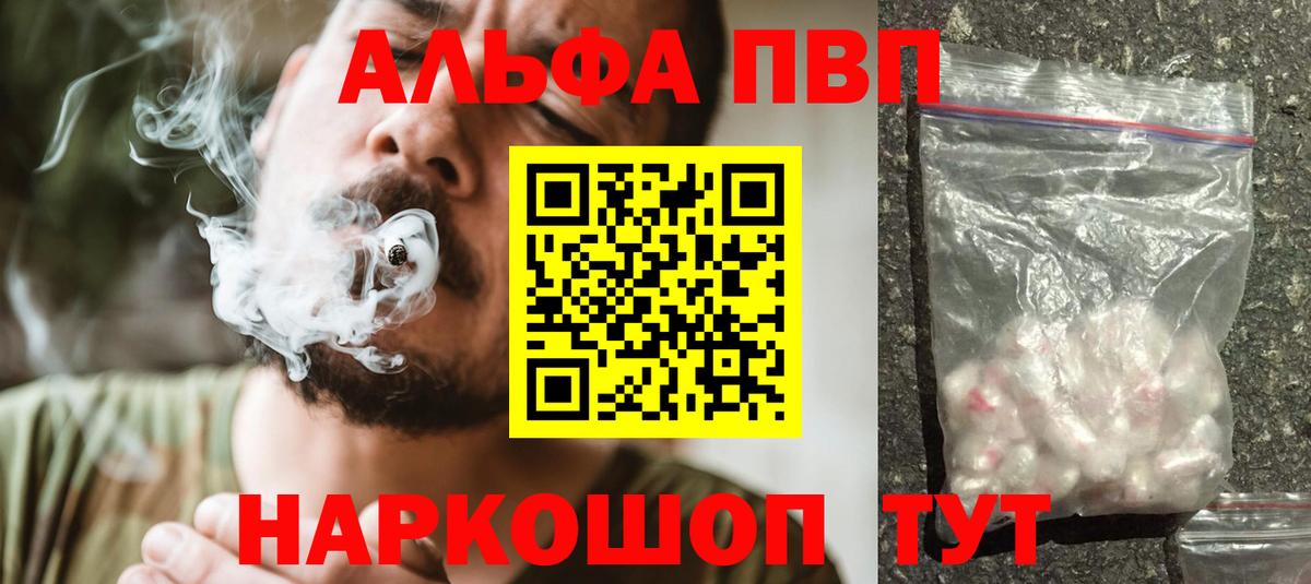 A PVP СК КРИС Асино