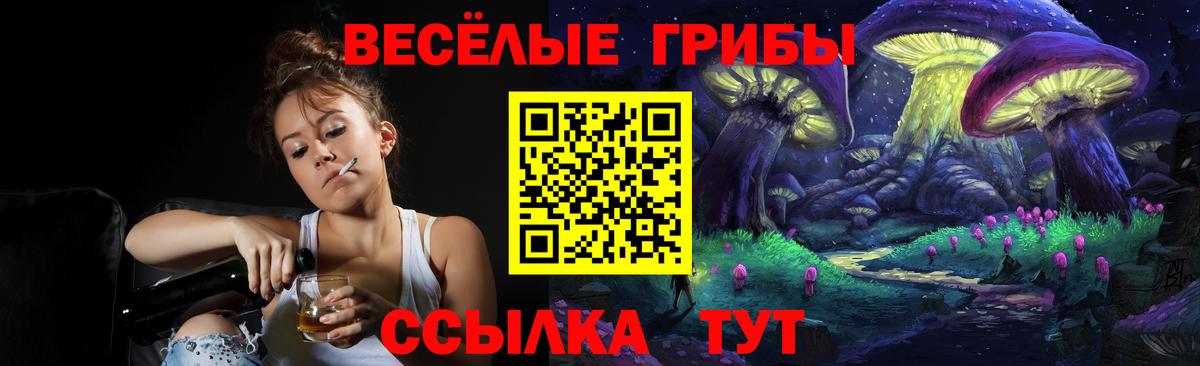 Галлюциногенные грибы Cubensis Асино